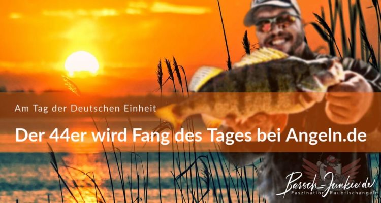 Der 44er wird Fang des Tages Artikelbild