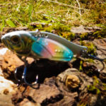 mfyfishingbox-82016-11