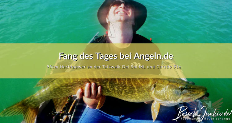 Fang des Tages bei Angeln.de mit einem 95cm Hecht beim Barschangeln